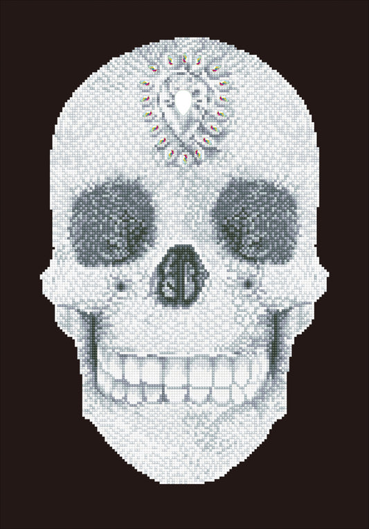 Diamond Dotz Diamond Embroidery Facet Art Kit 16.5"X20.5"-Crystal Skull
