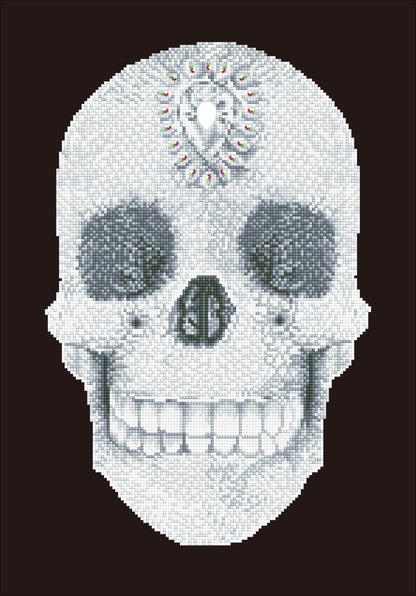 Diamond Dotz Diamond Embroidery Facet Art Kit 16.5"X20.5"-Crystal Skull