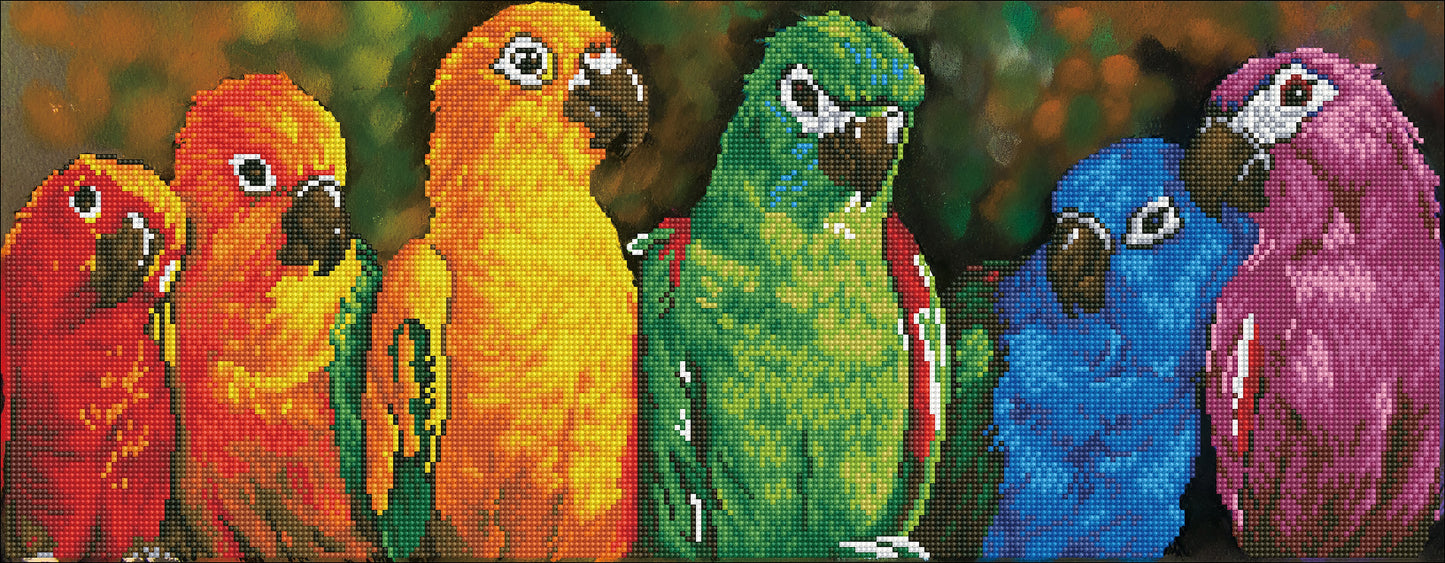 Diamond Dotz Diamond Embroidery Facet Art Kit 22.44"X16.14"-Rainbow Parrots
