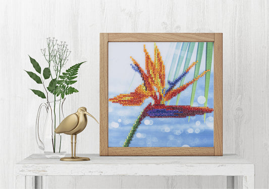 Leisure Arts Diamond Art Beginner Kit 8"X8"-Bird Of Paradise