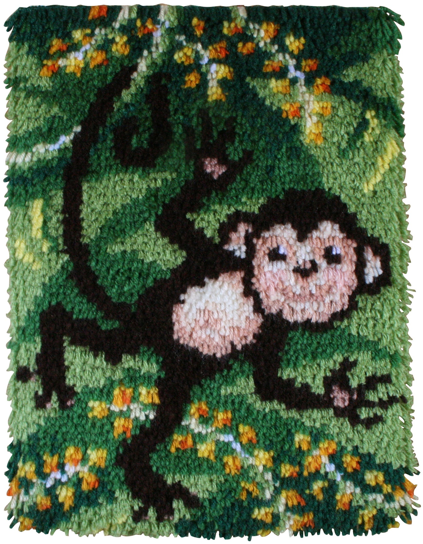 Caron Wonderart Latch Hook Kit 15"X20"-Swingin'