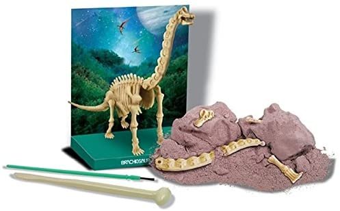 Dino Skeletons - Mini Excavation Kit