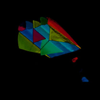 PARAFOIL KITE