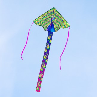 ECO: SIMPLE FLYER PEACOCK 120CM 47"