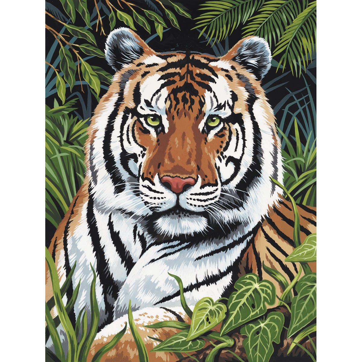 Junior Small Paint By Number Kit 8.75"X11.75"-Tiger In Hiding