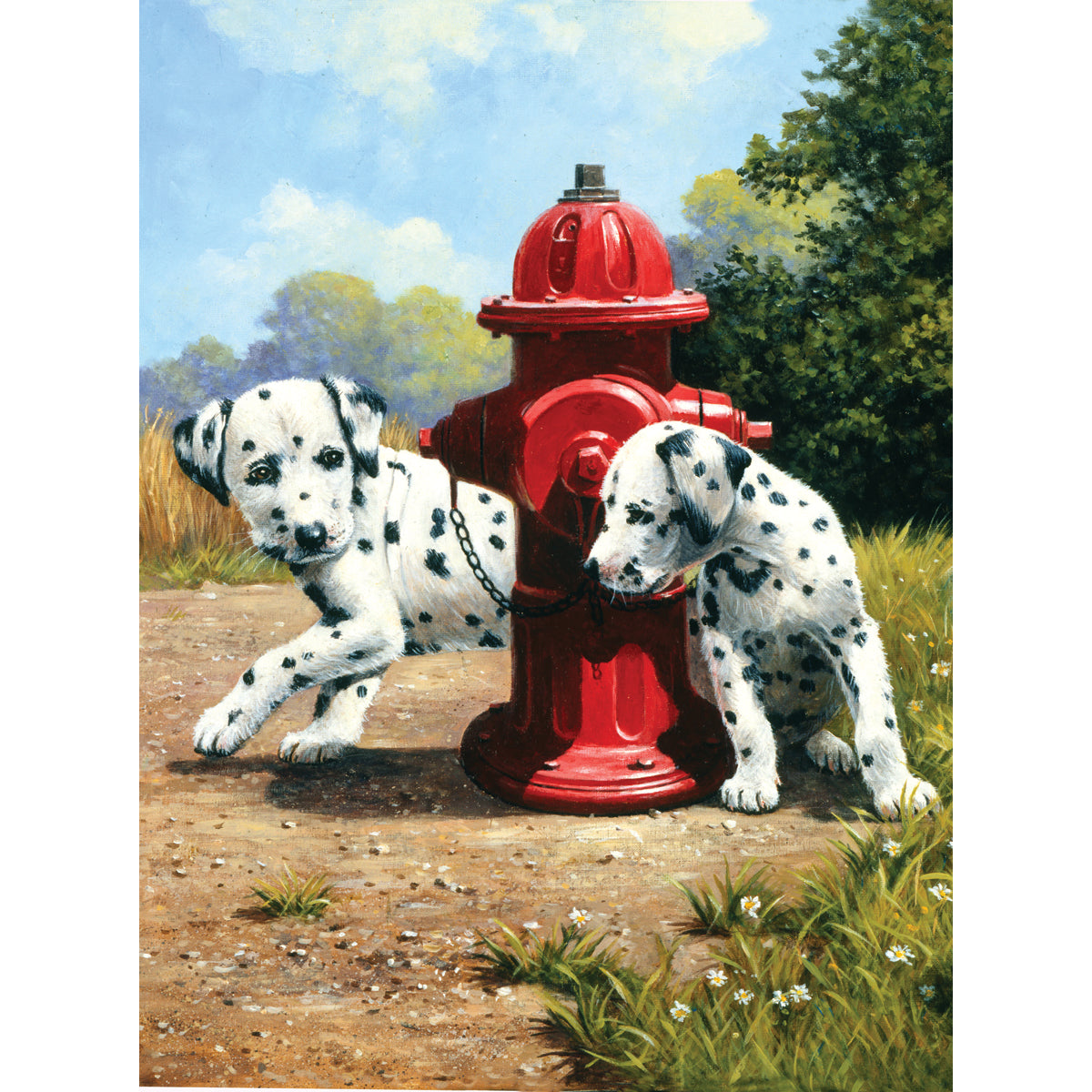 Junior Small Paint By Number Kit 8.75"X11.75"-Peek-A-Boo