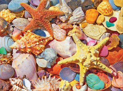 Beach Shells (1486PZ) - 550 Piece Jigsaw Puzzle