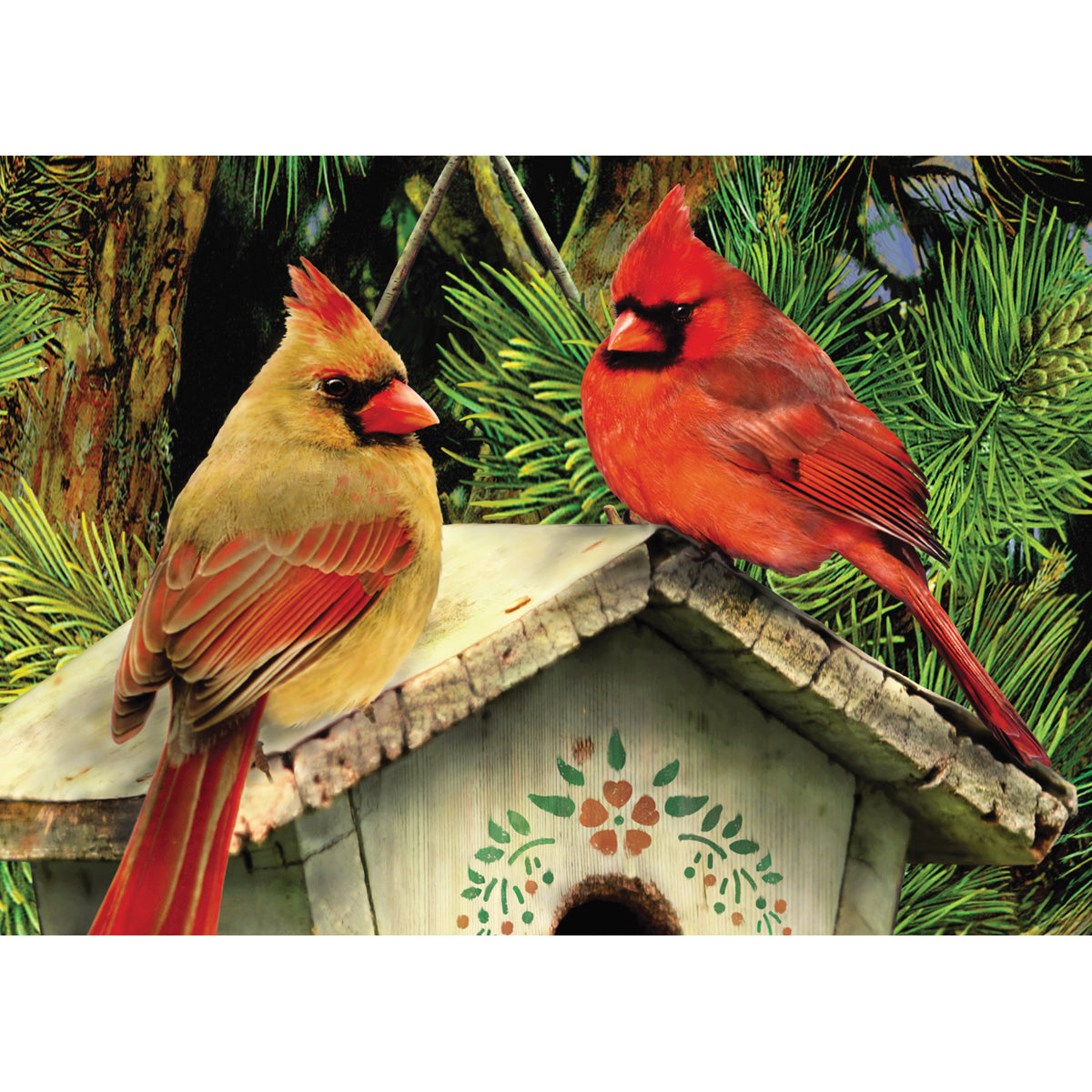 Mini Paint By Number Kit 5"X7"-Cardinals
