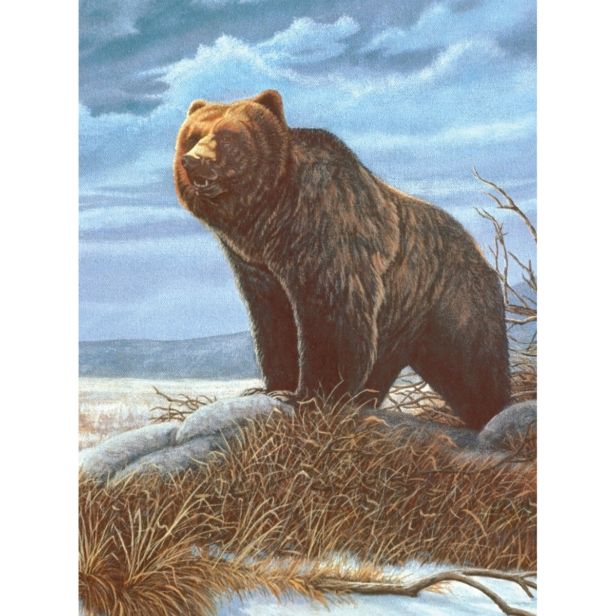 Junior Small Paint By Number Kit 8.75"X11.75"-Grizzly Bear