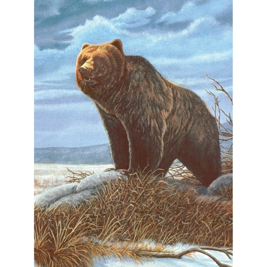 Junior Small Paint By Number Kit 8.75"X11.75"-Grizzly Bear