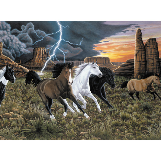 Junior Large Paint By Number Kit 15.25"X11.25"-Thunder Run