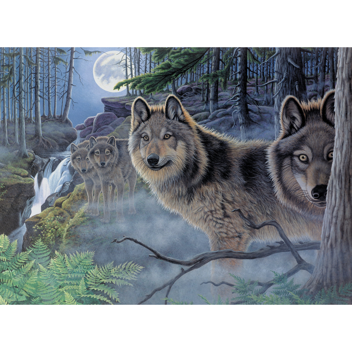 Paint By Number Kit 15.375"X11.25"-Mystical Moonlight