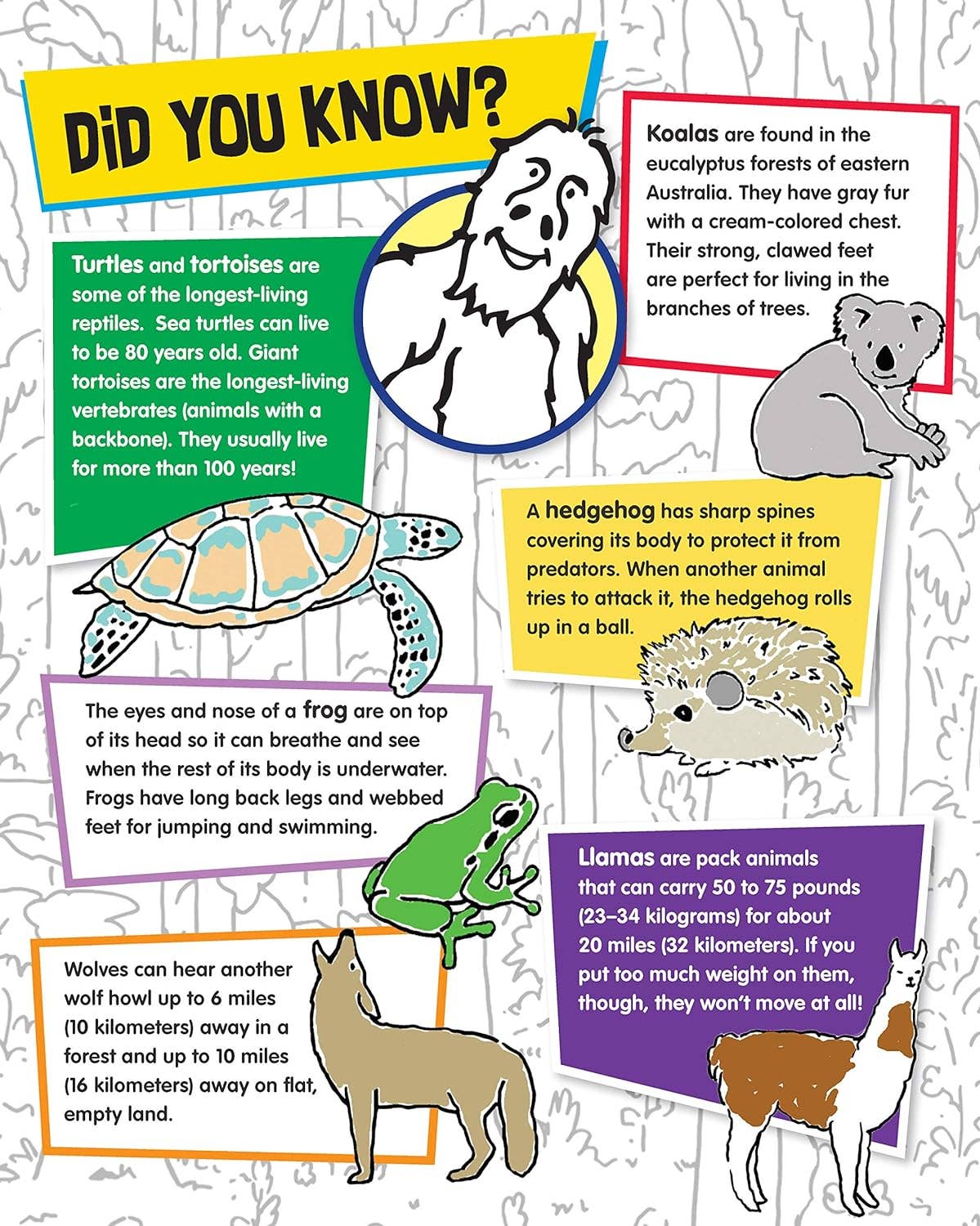 Fox Chapel Publishing - BigFoot Activity Book - Coloring & Stickers for Kids