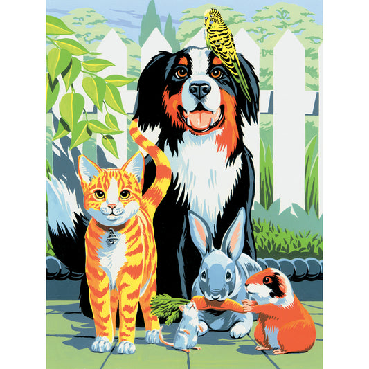 Junior Small Paint By Number Kit 8.75"X11.75"-Family Pets