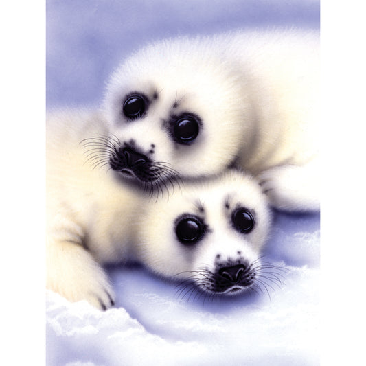 Junior Small Paint By Number Kit 8.75"X11.75"-Seal & Pup