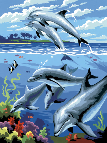 Junior Small Paint By Number Kit 8.75"X11.75"-Dolphins