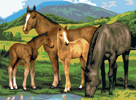 Junior Large Paint By Number Kit 15.25"X11.25"-Horse & Foals