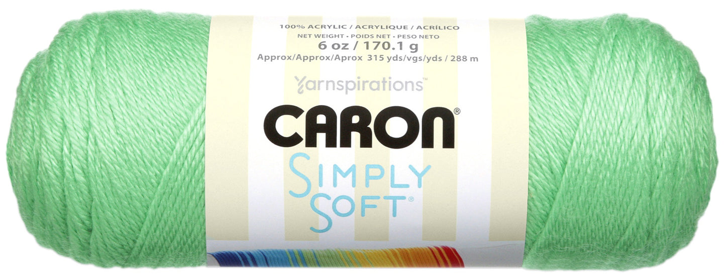 Caron Simply Soft Brites Yarn