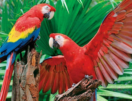 Scarlet Macaw 400 Piece Jigsaw Puzzle