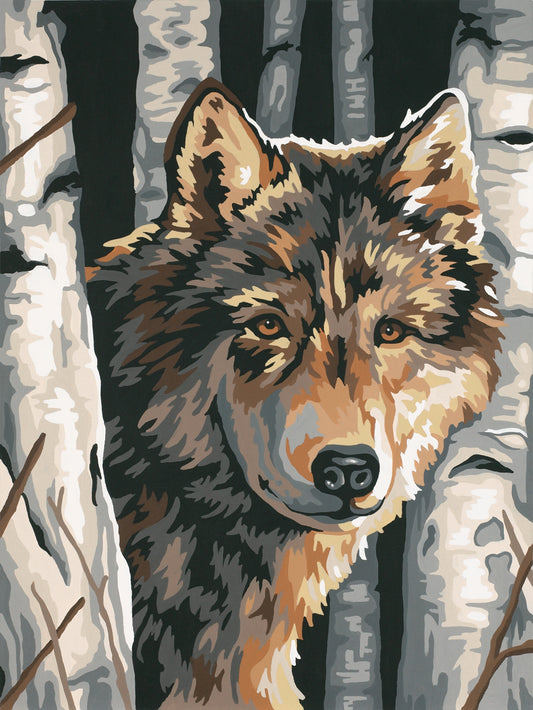 Paint Works Paint By Number Kit 9"X12"-Wolf Among Birches