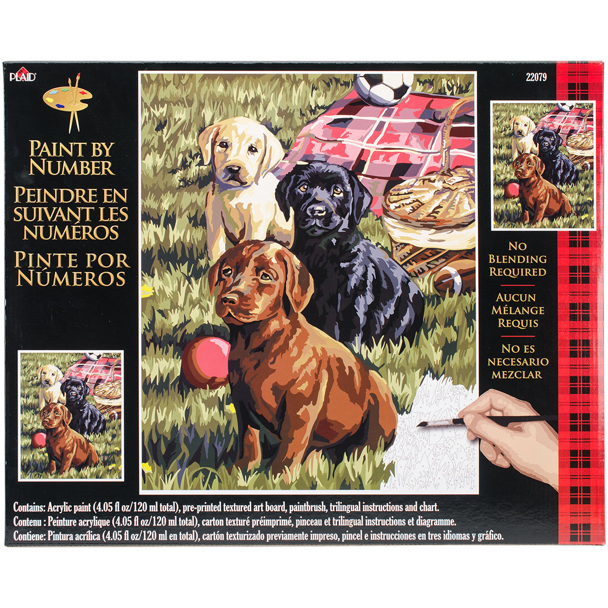 Paint By Number Kit 16"X20"-Puppy Picnic