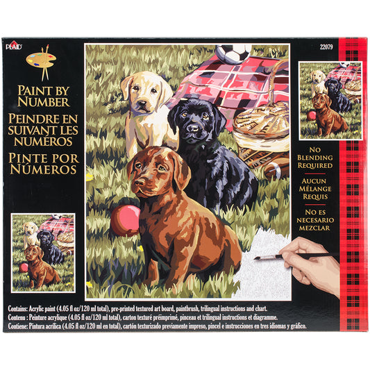 Paint By Number Kit 16"X20"-Puppy Picnic