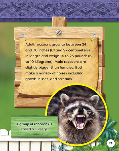 Fox Chapel Publishing - Kids' Backyard Safari:  RACCOONS (HC) - Explore Their World
