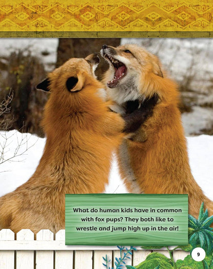 Fox Chapel Publishing - Kids' Backyard Safari: Red Foxes (HC) - Explore Their World