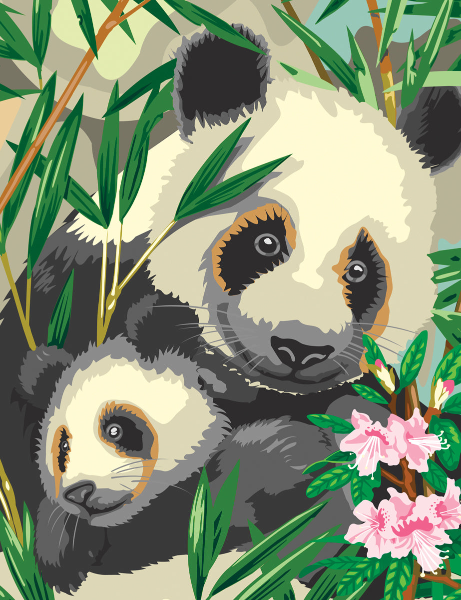 Junior Small Paint By Number Kit 8.75"X11.75"-Panda & Baby