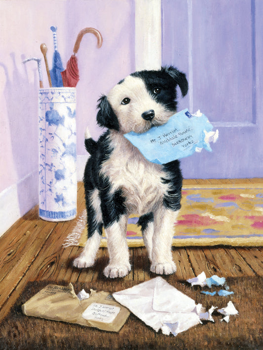Junior Small Paint By Number Kit 8.75"X11.75"-The Mail Menace