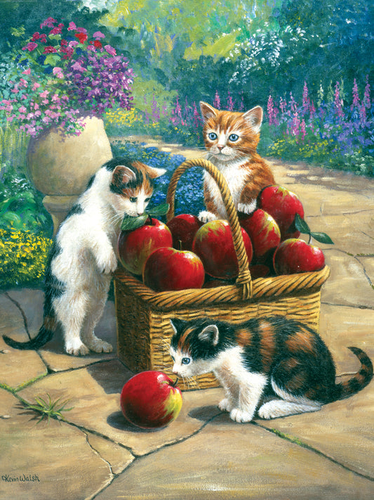 Junior Small Paint By Number Kit 8.75"X11.75"-Bumper Crop