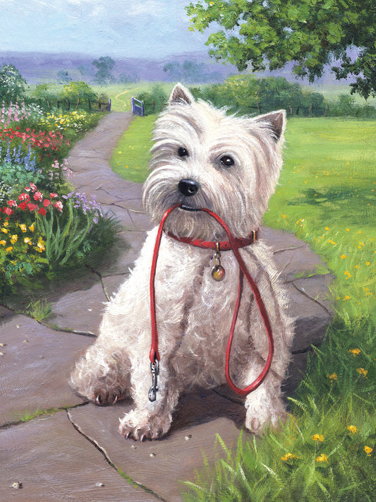 Junior Small Paint By Number Kit 8.75"X11.75"-Time For A Walk