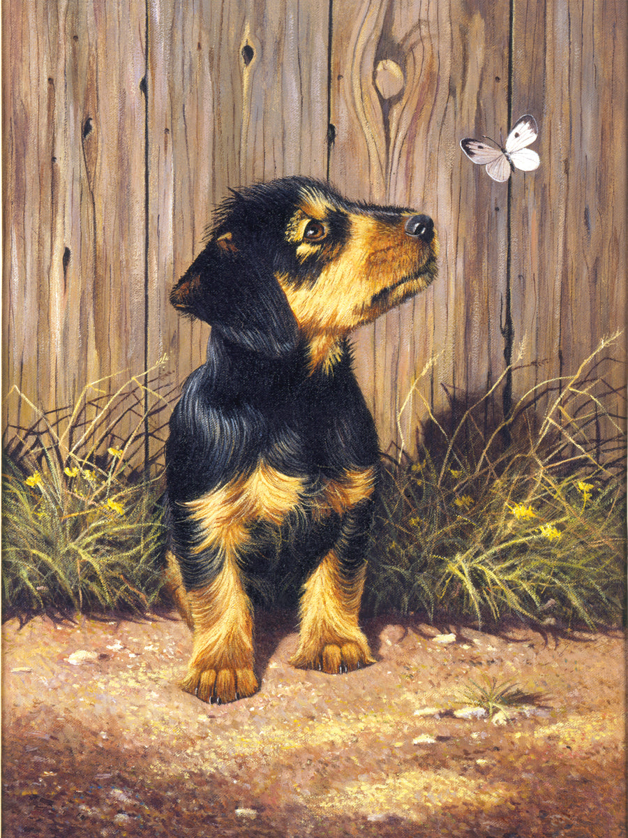 Junior Small Paint By Number Kit 8.75"X11.75"-Dachshund Puppy