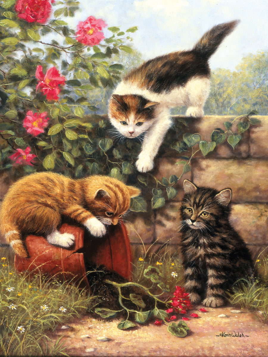 Junior Small Paint By Number Kit 8.75"X11.75"-Kittens At Play