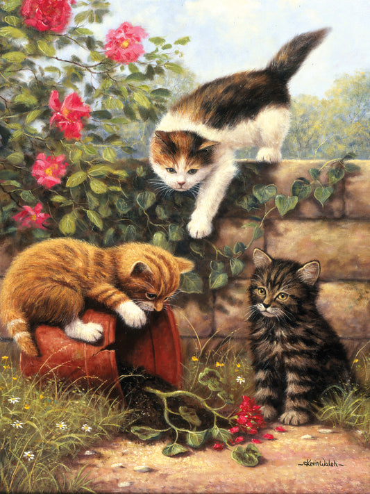Junior Small Paint By Number Kit 8.75"X11.75"-Kittens At Play