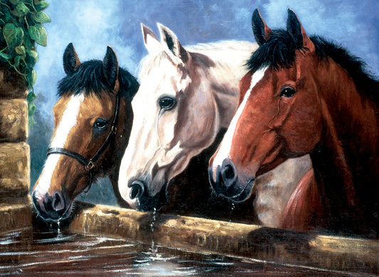 Junior Large Paint By Number Kit 15.25"X11.25"-3 Of A Kind