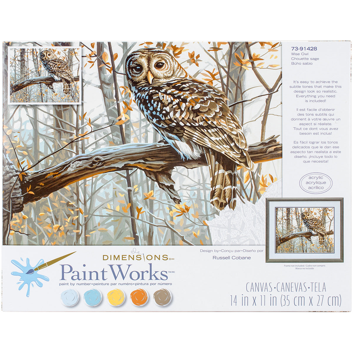 Paint Works Paint By Number Kit 14"X11"-Wise Owl