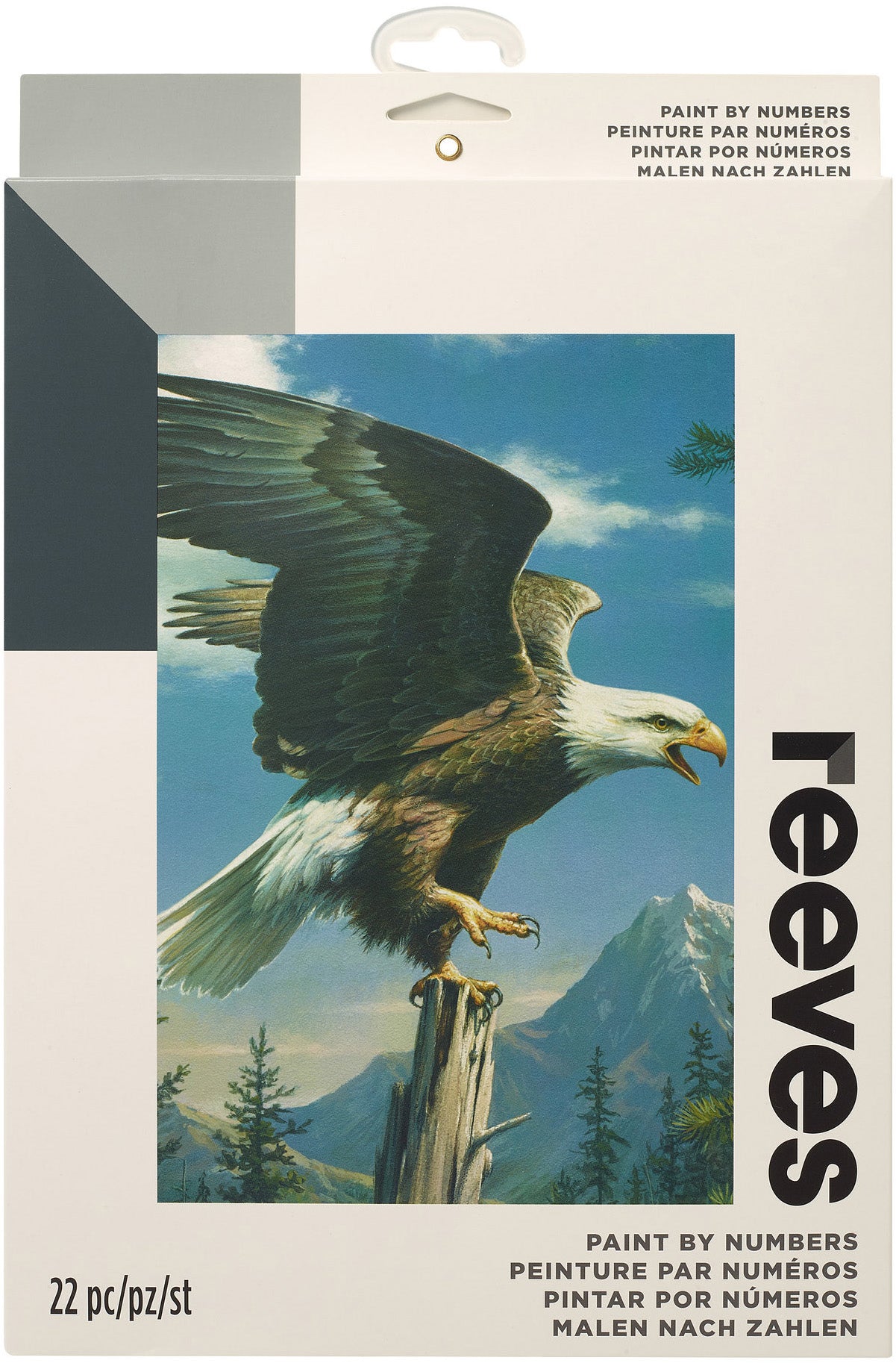 Paint By Number Kit Artist's Collection 9"X12"-Screaming Eagle