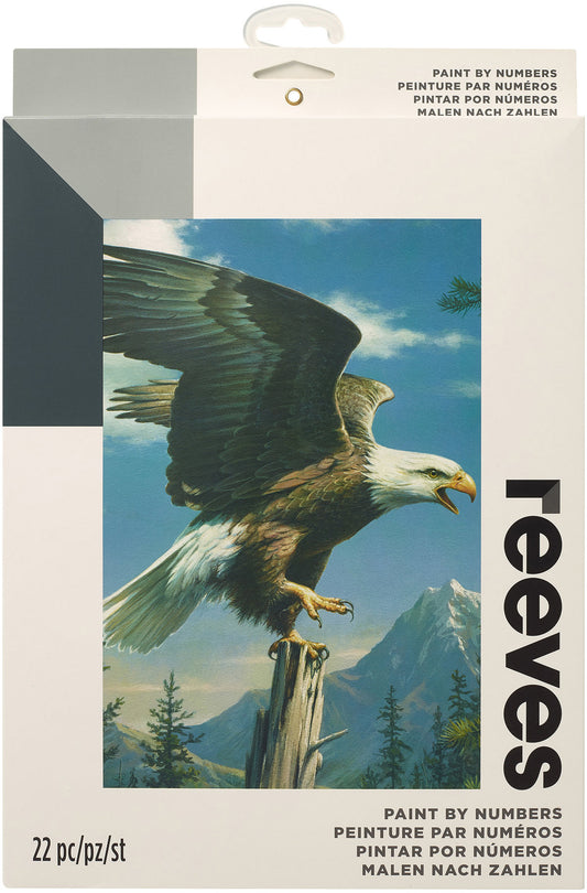 Paint By Number Kit Artist's Collection 9"X12"-Screaming Eagle