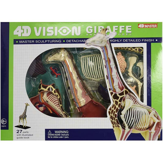 4D Vision Giraffe Anatomy