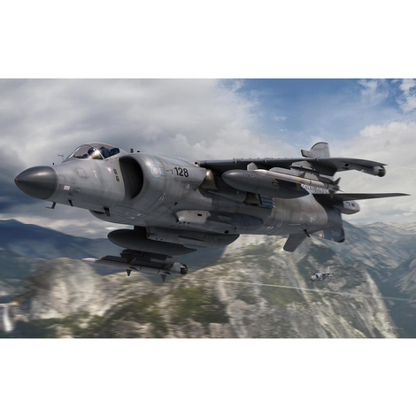 Bae Sea Harrier FA2 1:72