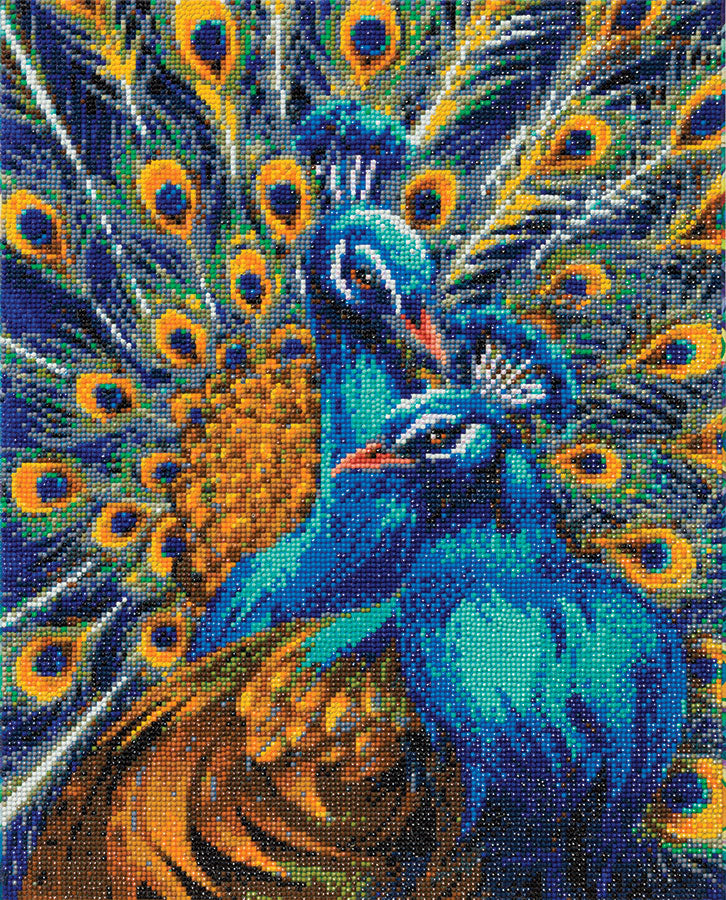 CA Mounted Kit (Lg): Blue Rapsody Peacocks