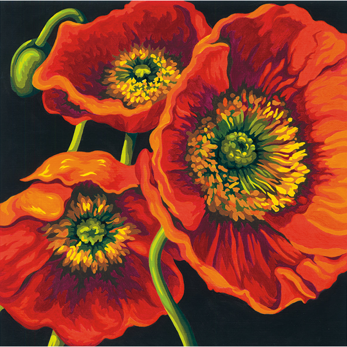 Paint Works Paint By Number Kit 11"X11"-Red Poppy Trio