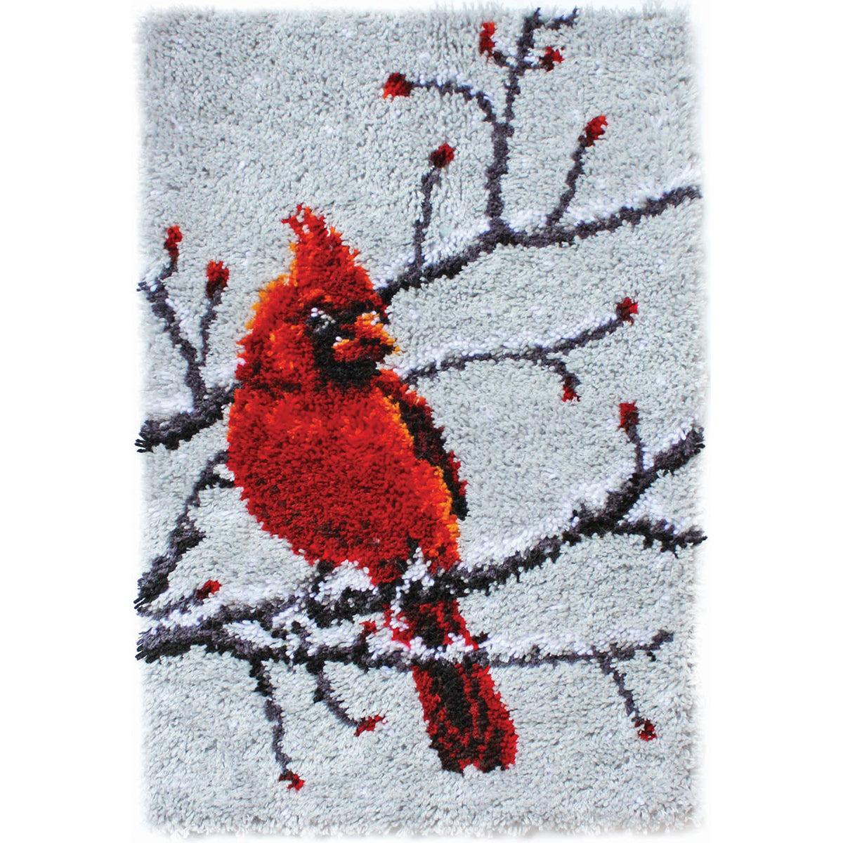 Caron Wonderart Classic Latch Hook Kit 20"X30"-Cardinal
