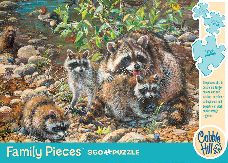 Raccoon Family (Family)