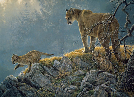 Excursion - Cougar and Kits (Family)