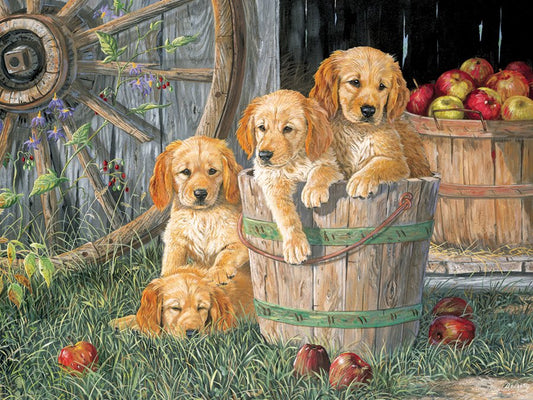 Puppy Pail (Family)