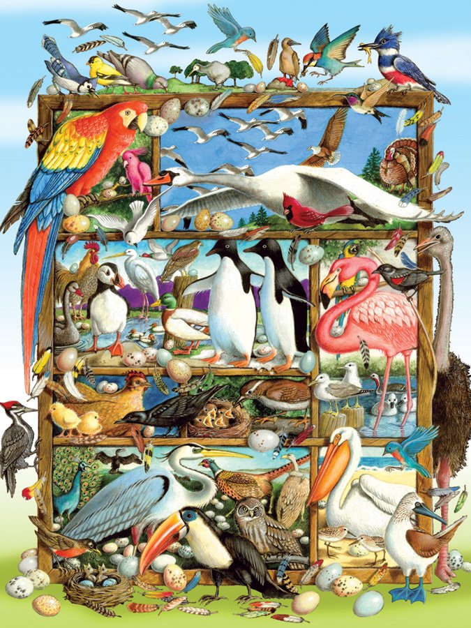 Birds of the World (Family)