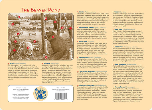The Beaver Pond (tray)