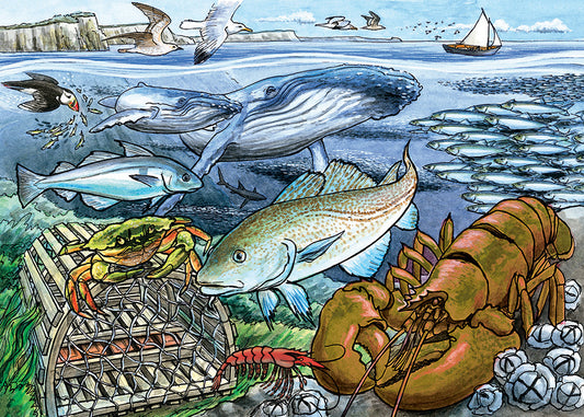 Life in the Atlantic Ocean (tray)